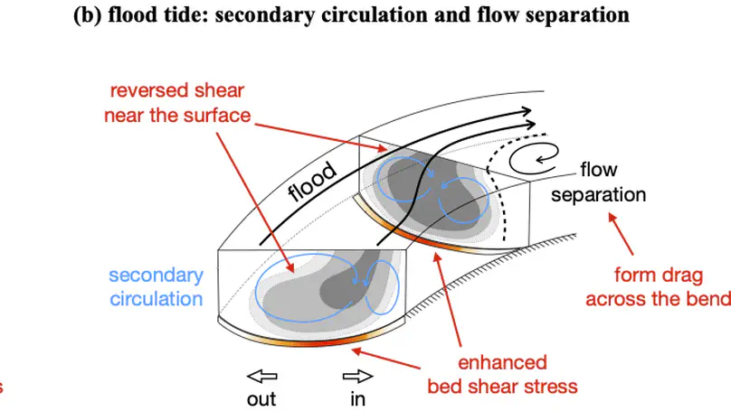 Sources of drag in estuarine meanders: momentum redistribution, bottom stress enhancement, and bend-scale form drag