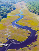 On the role of small estuaries in retaining buoyant particles