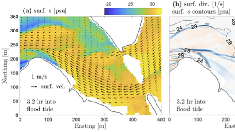 Tidal intrusion fronts, surface convergence, and mixing in an estuary with complex topography